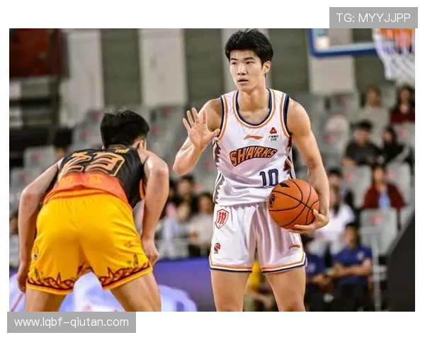 多米体育中国用户指南：提升你的体育竞猜体验的实用技巧与注意事项