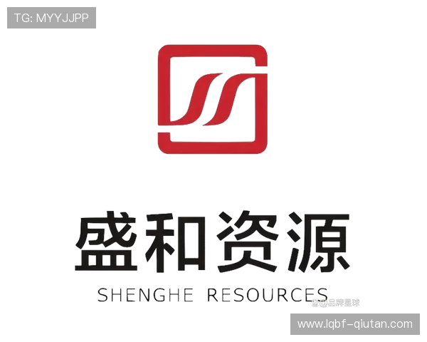 盛世VIP会员尊享特权,开启奢华生活新篇章 盛世VIP会员尊享特权,开启奢华生活新篇章